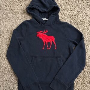 Abercrombie & Fitch Navy Blue Hoodie with embroidered moose